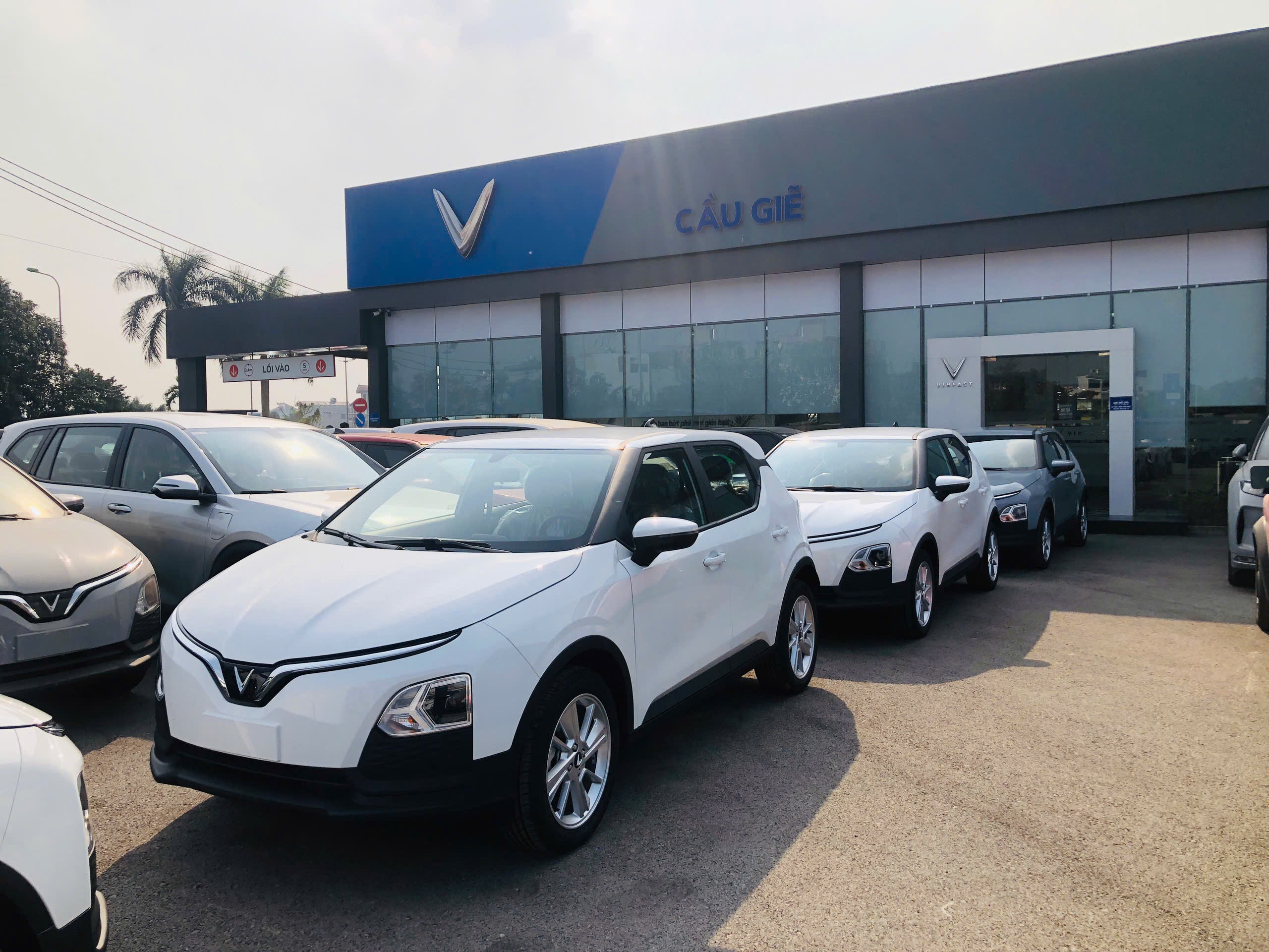 Vinfast Sơn Đồng