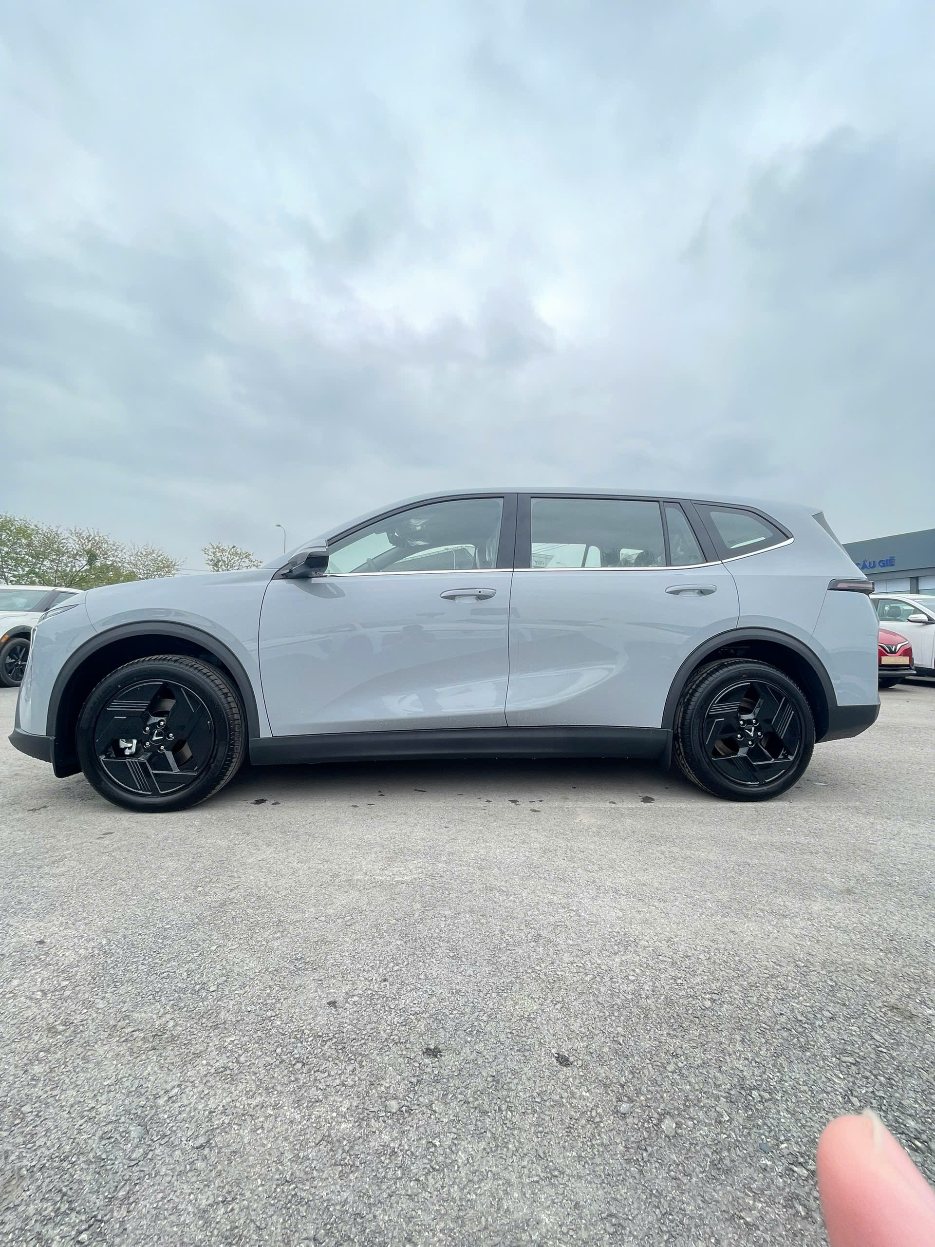 Giá Lăn Bánh Tỉnh Limo Green