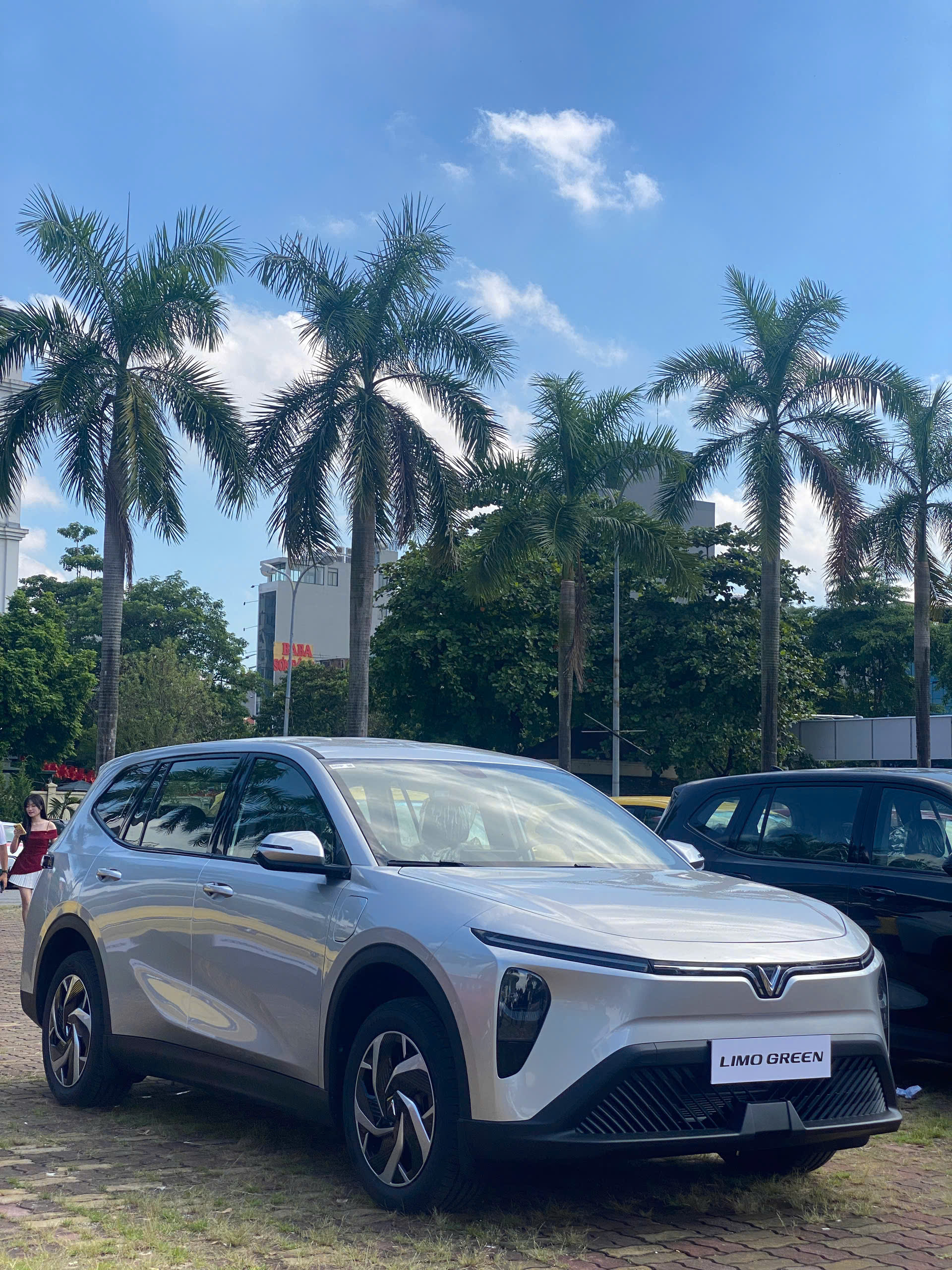 Giá Lăn Bánh Tỉnh Limo Green