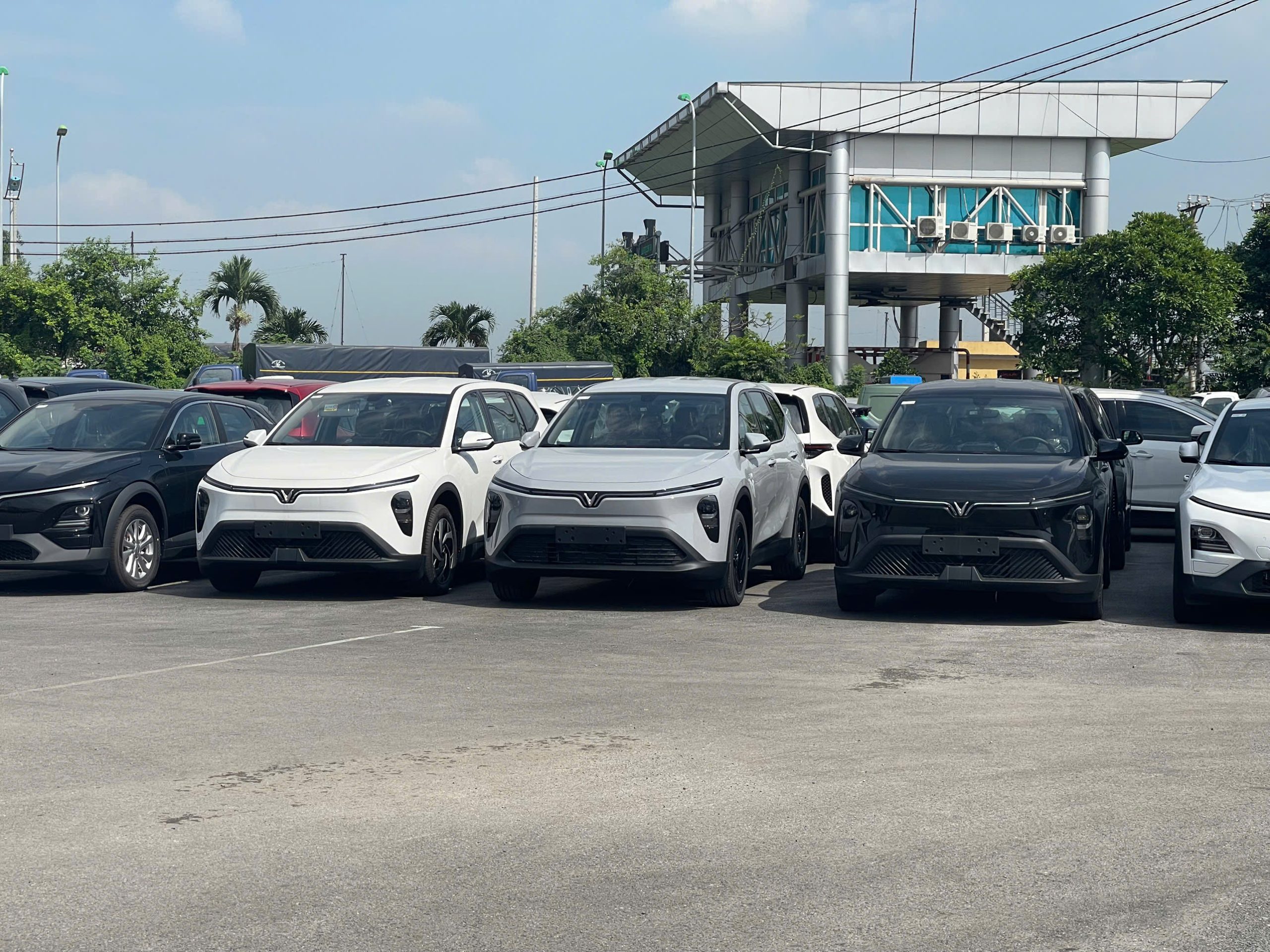 Giá Lăn Bánh Tỉnh Limo Green
