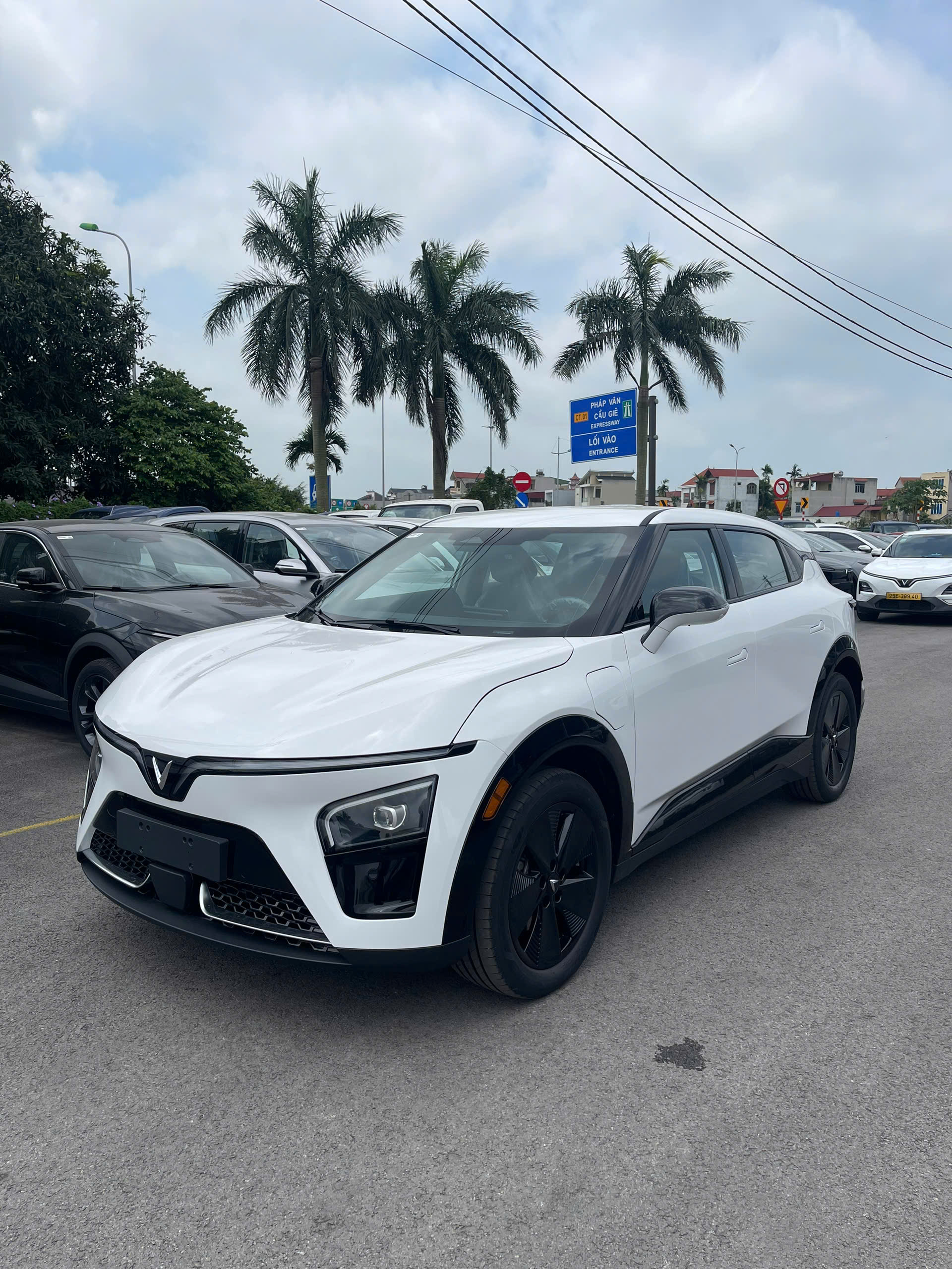 Bảng Giá Xe VinFast Tháng 6