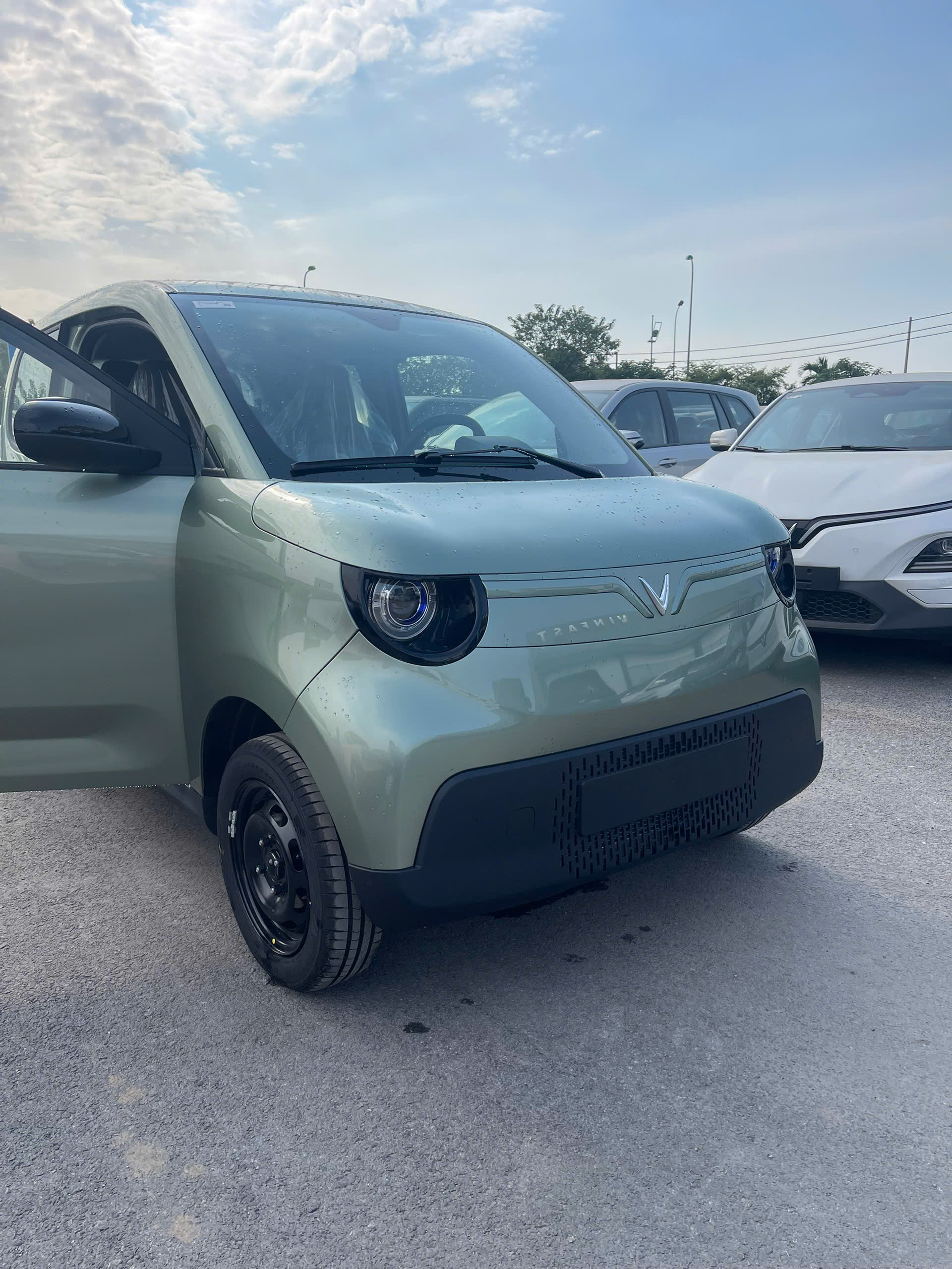 VF2 Màu Xanh Lá Nhạt