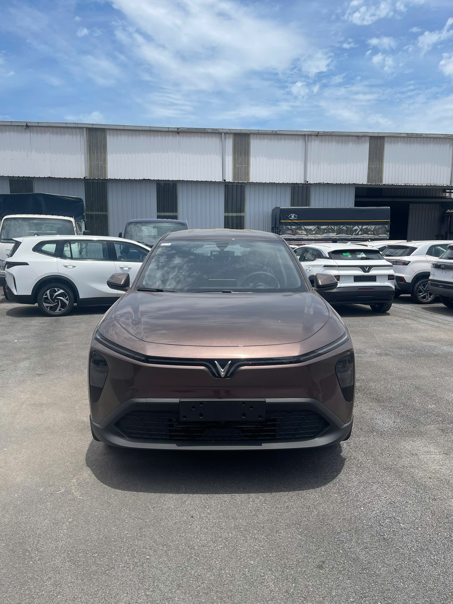 MPV 7 Nâu