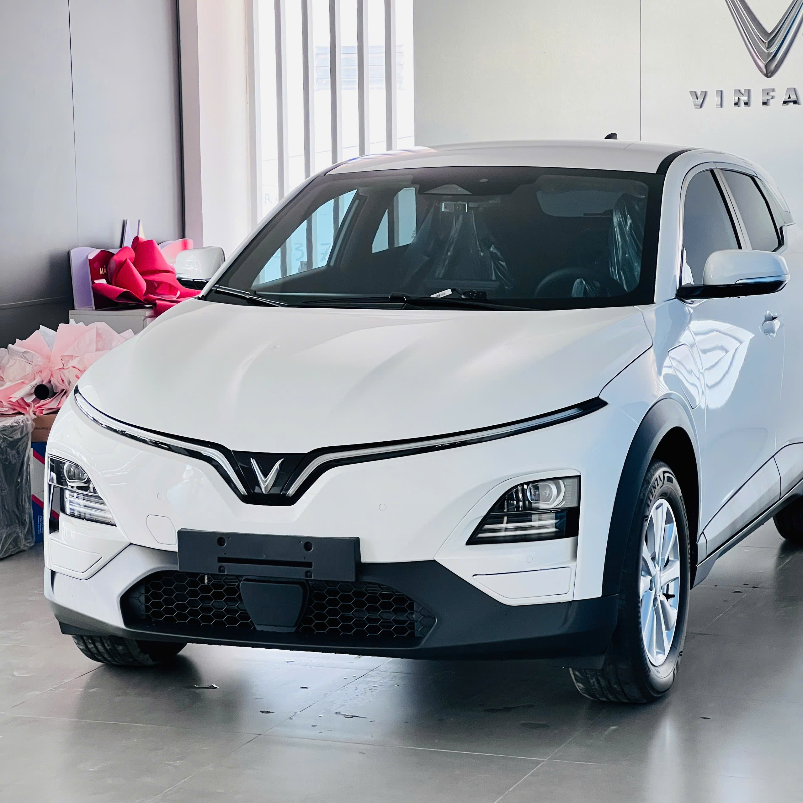 VF6 Eco Trắng